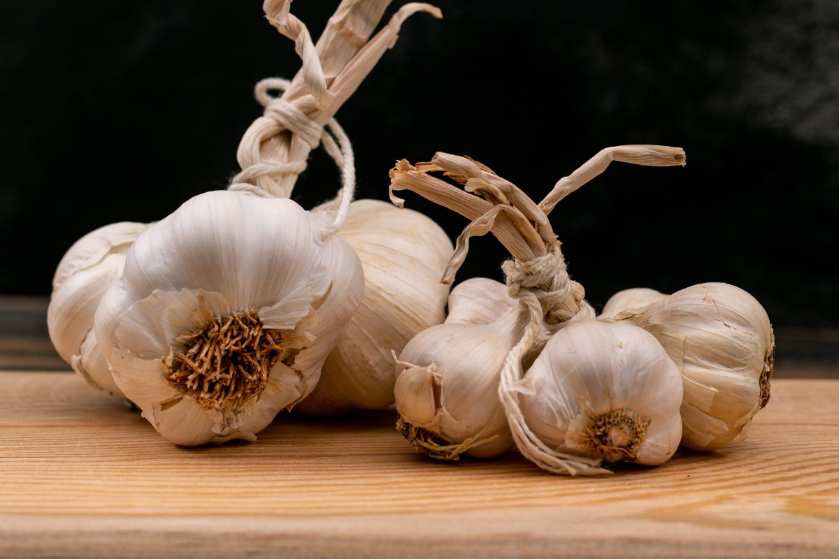 Garlic: Small but mighty — the pungent pearl of health and flavor