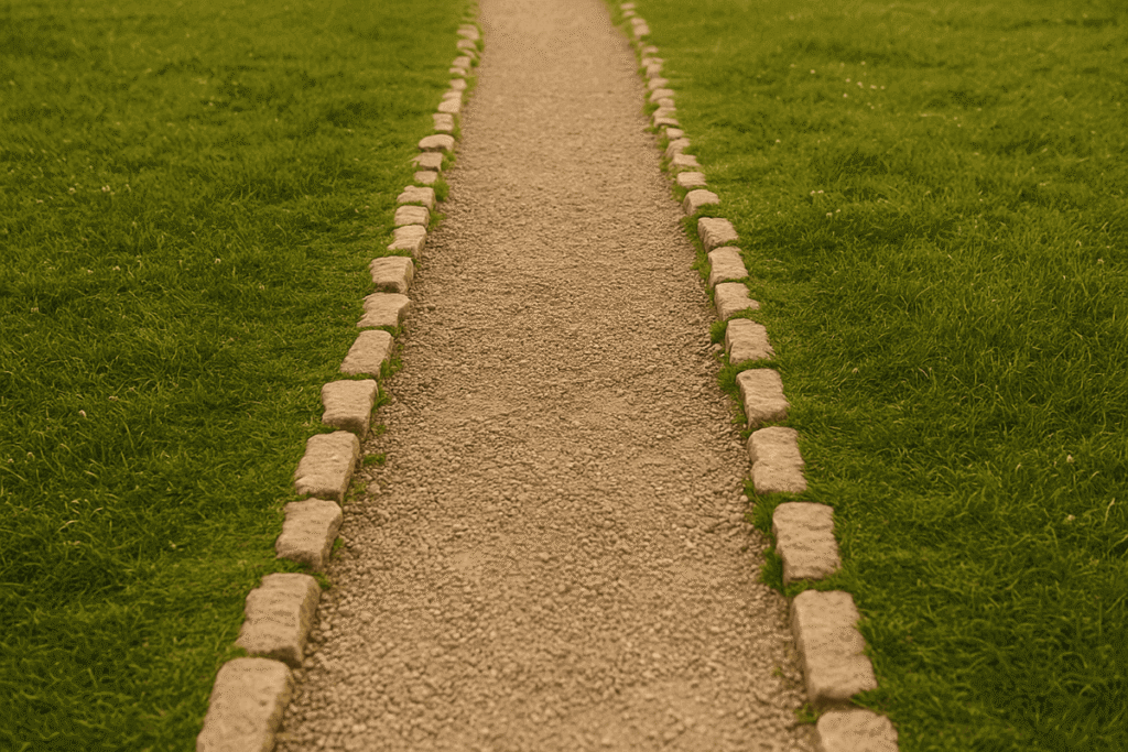 Stones forming a natural path divide, symbolizing choices and personal limits.